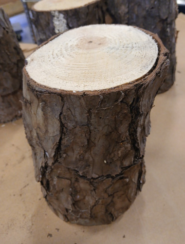 One seasoned pine wood - (1),